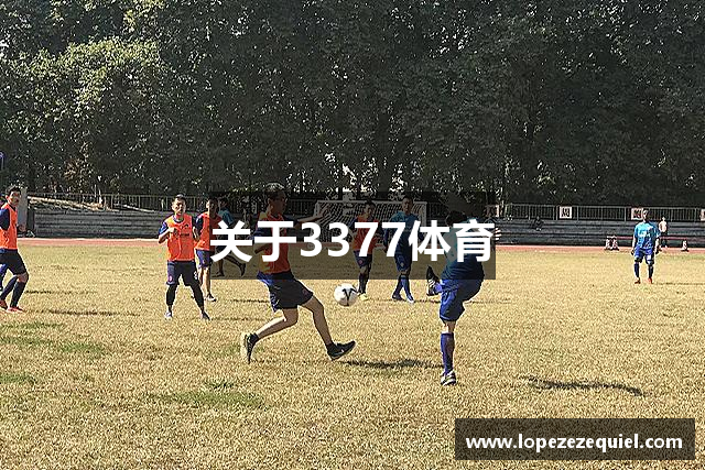关于3377体育